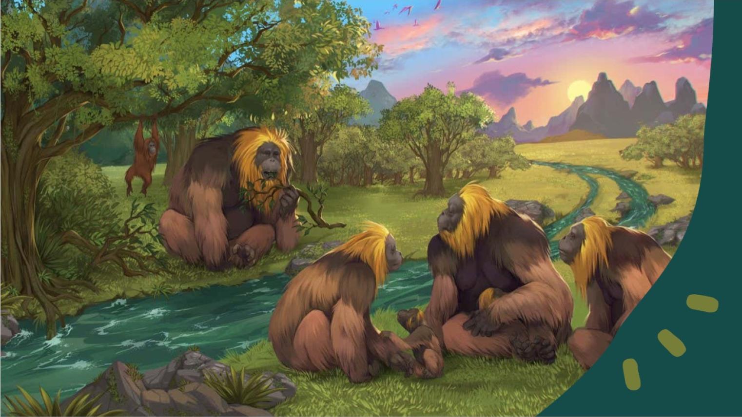 Gigantopithecus Extinctions Research Project: Aspire Scholarship Eureka Prize Finalist